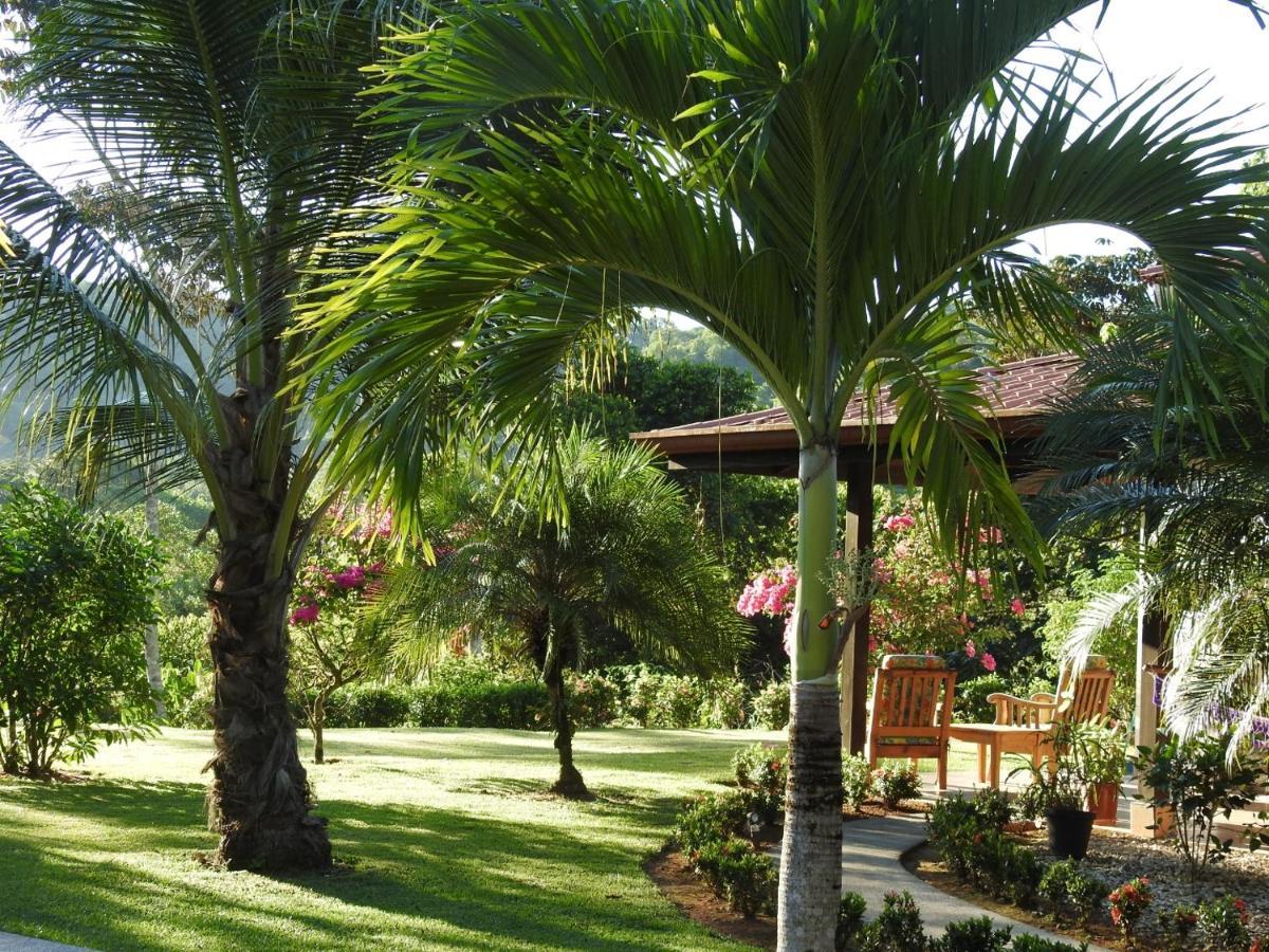 Vila Casas Buenas Brisas Ojochal Exteriér fotografie